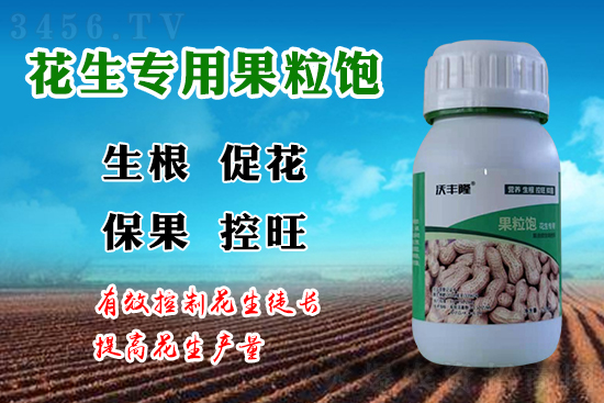 花生想要控旺,用沃丰隆果粒饱一键搞定! 花生想要控旺,用沃丰隆果粒饱一键搞定!